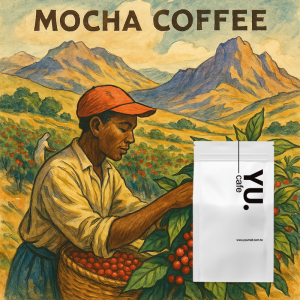 MOCHA 巴西 摩卡咖啡豆 (一磅/包)