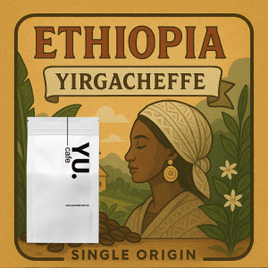 哥德榮耀 耶加雪菲 單品咖啡豆 (半磅/包)