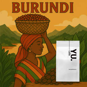 非洲精選 Burundi 蒲隆地咖啡豆（半磅/包）